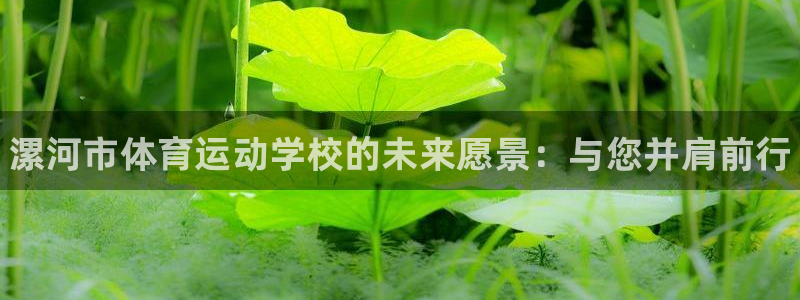 海南JJB竞技宝官网下载发展怎么样：漯河市体育运动学
