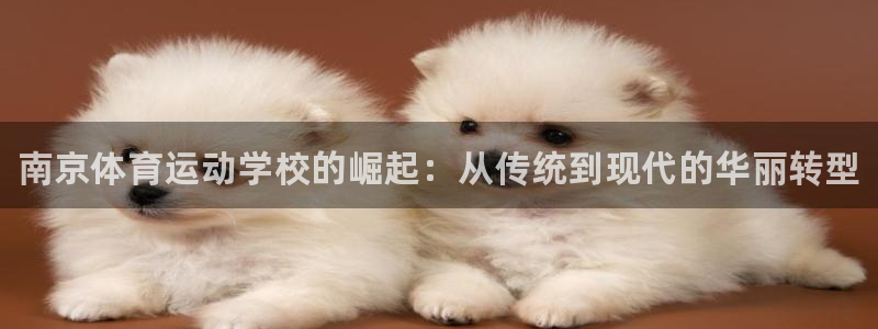 海南JJB竞技宝官网下载：南京体育运动学校的崛起：从
