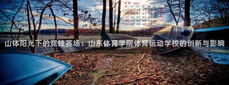 JJB竞技宝官网下载招商电话：山体阳光下的竞技赛场：