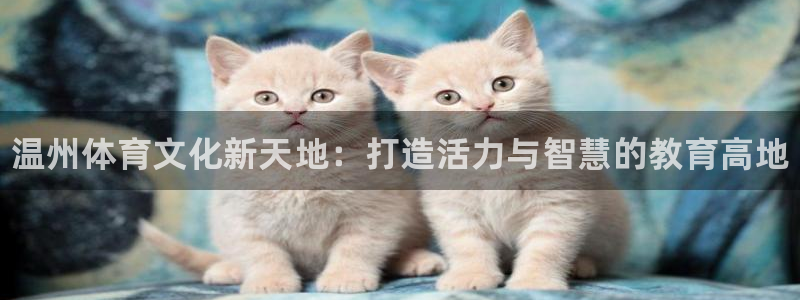 JJB竞技宝官网下载平台APP：温州体育文化新天地：