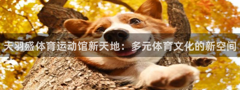 JJB竞技宝官方正版app集团简介：天羽盛体育运动馆