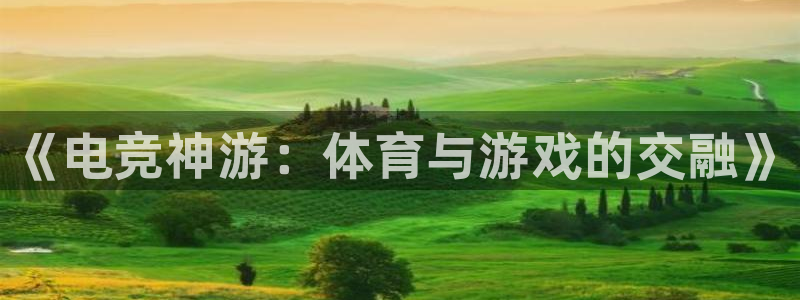 JJB竞技宝官方正版app娱乐代理怎么样：《电竞神游