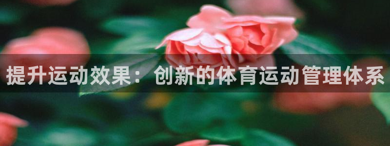 JJB竞技宝官网下载软件：提升运动效果：创新的体育运