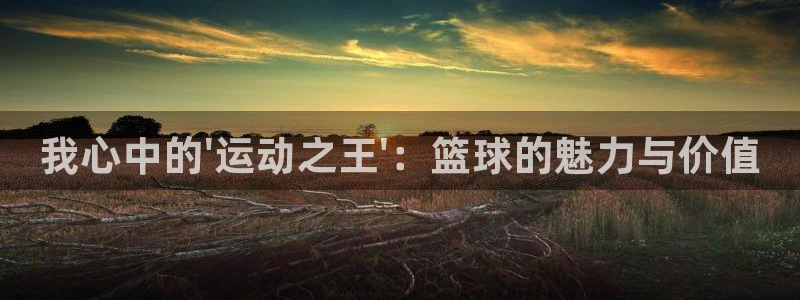 JJB竞技宝官网下载娱乐：我心中的\'运动之王\'：