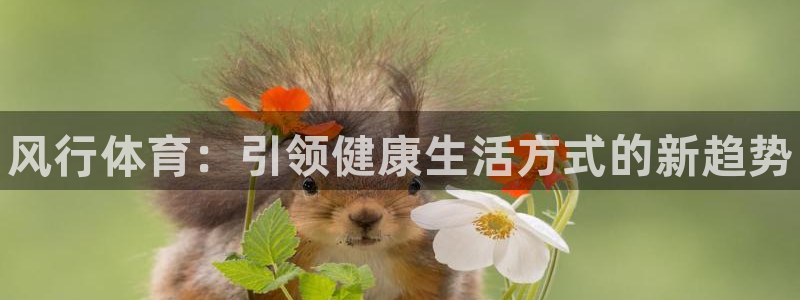 JJB竞技宝官网下载软件：风行体育：引领健康生活方式的新趋势