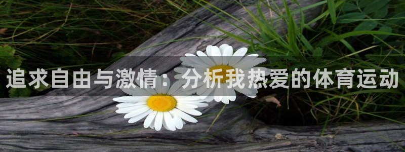 JJB竞技宝官方正版app娱乐网站：追求自由与激情：分析我热
