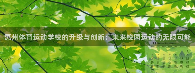 海南JJB竞技宝官网下载：惠州体育运动学校的升级与创新：未来