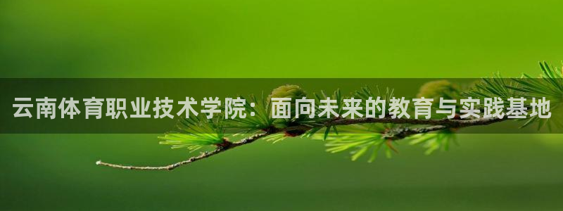 JJB竞技宝官方正版app娱乐：云南体育职业技术学院：面向未