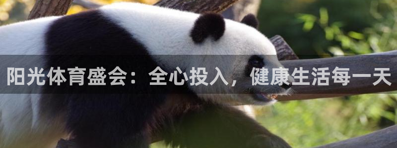 海南JJB竞技宝官网下载发展怎么样：阳光体育盛会：全心投入，