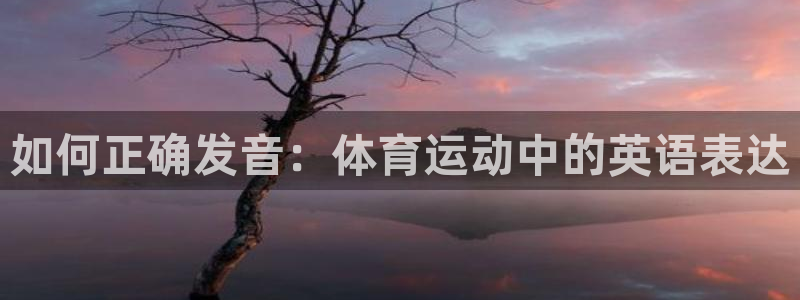 JJB竞技宝官方平台体育