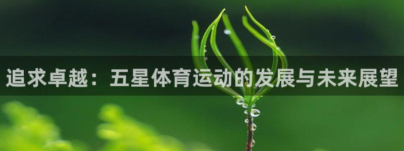 JJB竞技宝官网下载招商电话是多少：追求卓越：五星体育运动的