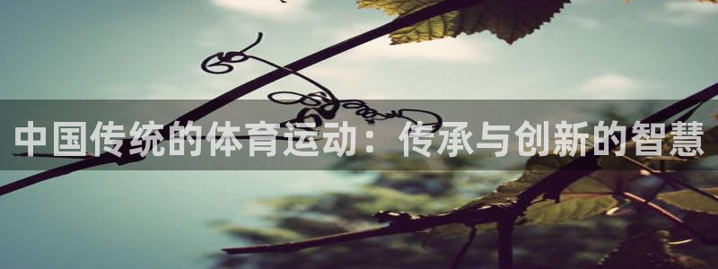 JJB竞技宝官方正版app五金厂：中国传统的体育运动：传承与