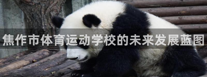 JJB竞技宝官网下载联系电话：焦作市体育运动学校的未来发展蓝