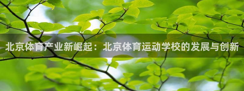 JJB竞技宝官方正版app新能源：北京体育产业新崛起：北京体