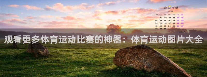 JJB竞技宝官方正版app新能源：观看更多体育运动比