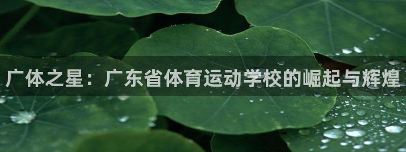竞技宝app官方安卓版下载：广体之星：广东省体育运动学校的崛