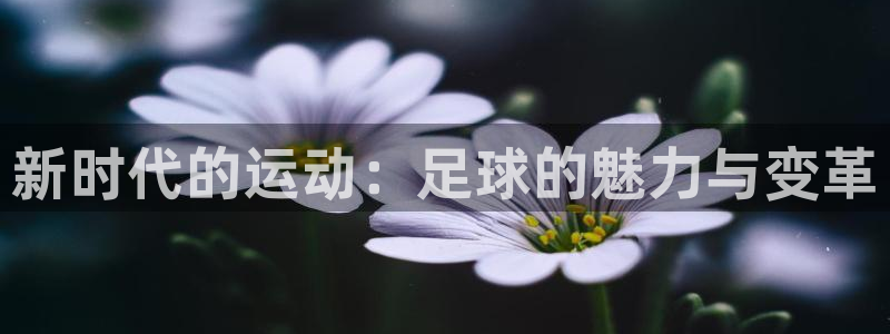  竞技宝客服连不上怎么回事儿：新时代的运动：足球的魅力与变革