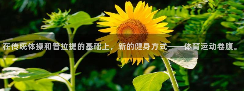 JJB竞技宝官网：在传统体操和普拉提