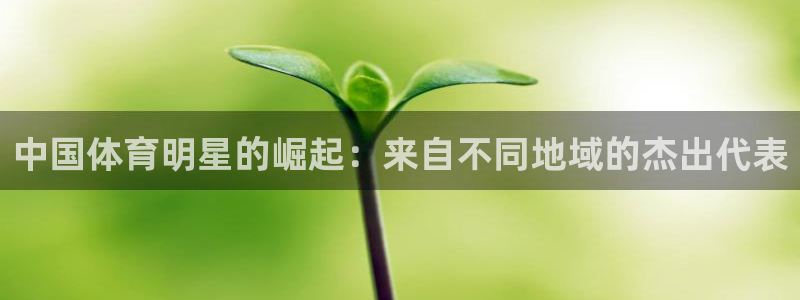 竞技宝app苹果网站：中国体育明星的