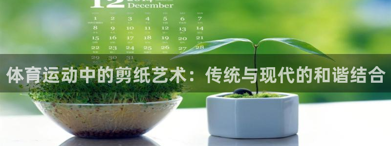 竞技宝客服打不开怎么回事：体育运动中