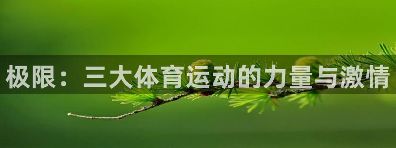  竞技宝app赌博：极限：三大体育运动的力量与激情