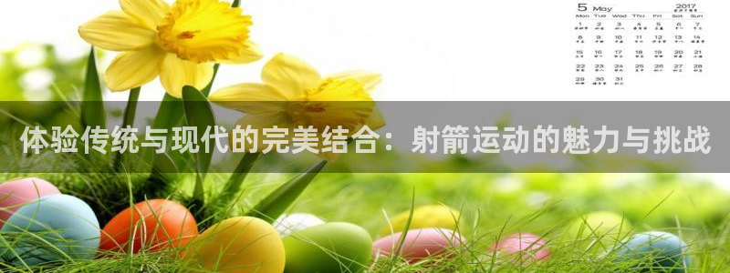 竞技宝app官方版下载：体验传统与现代的完美结合：射箭运动的