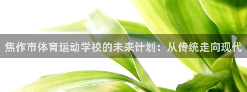  竞技宝登录入口在哪里：焦作市体育运动学校的未来计划：从传统走