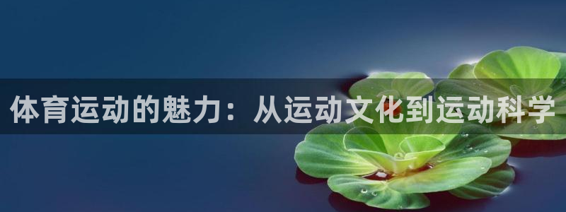 竞技宝app入口：体育运动的魅力：从运动文化到运动科学