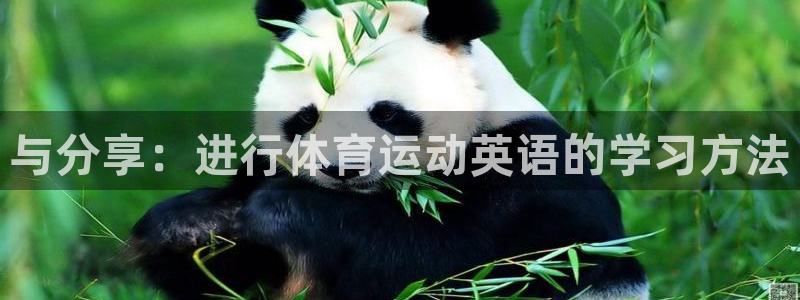  竞技宝app最新版本更新内容：与分享：进行体育运动英语的学习