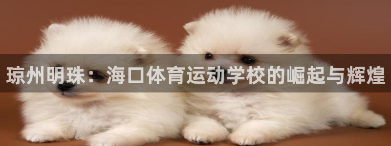 竞技宝官网app下载苹果：琼州明珠：海口体育运动学校的崛起与