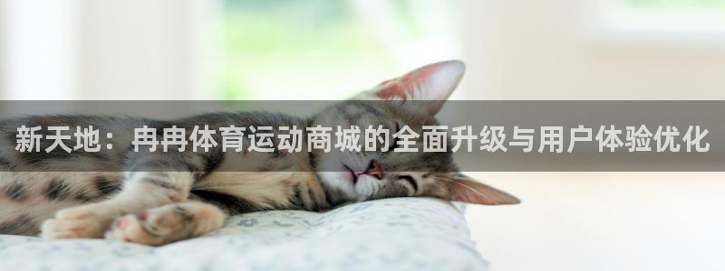 竞技宝官网app下载：新天地：冉冉体