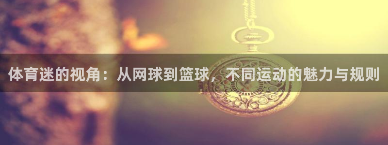 竞技宝app官网入口下载：体育迷的视角：从网球到篮球，不同运