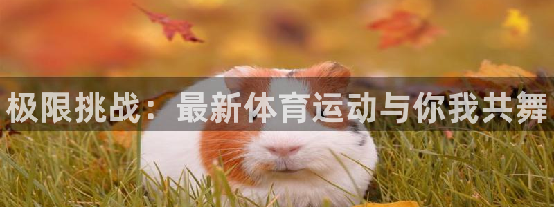 竞技宝会黑钱吗是真的吗：极限挑战：最新体育运动与你我共舞