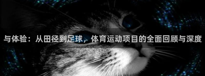  竞技宝app苹果网站：与体验：从田径到足球，体育运动项目的全