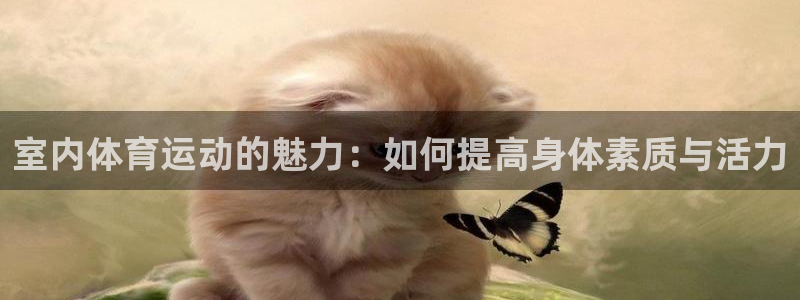 竞技宝被黑的钱能要回来吗：室内体育运
