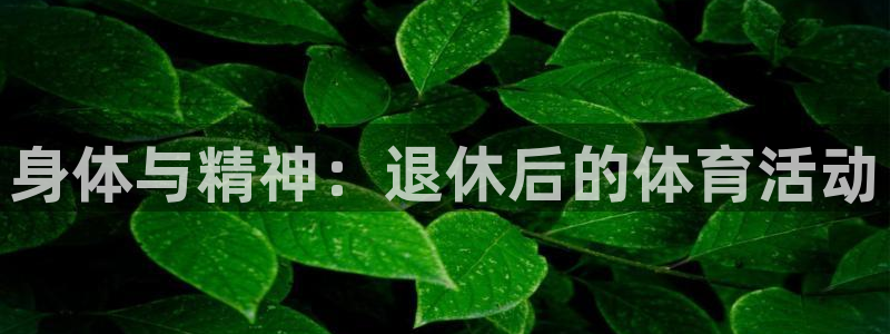 JJB竞技宝官网下载招商电话号码查询是多少：身体与精