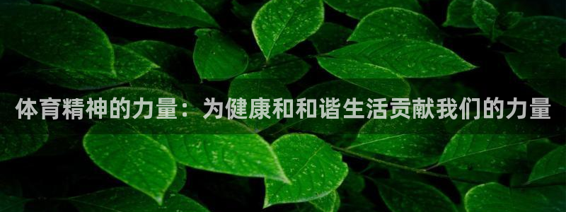 JJB竞技宝官网下载官方客服电话：体育精神的力量：为