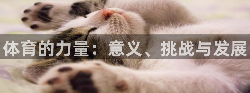 JJB竞技宝官网下载招商电话