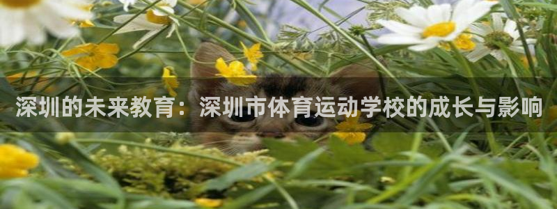 JJB竞技宝官方正版app集团官网网址