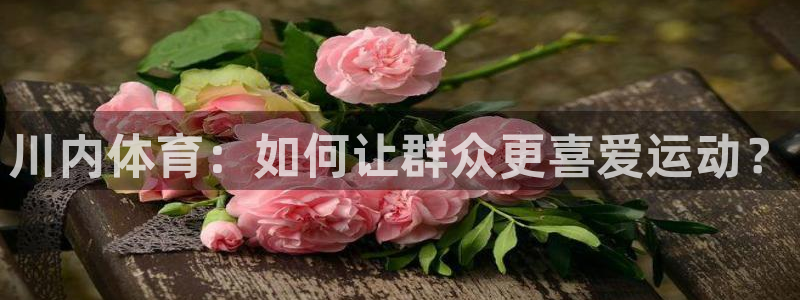 JJB竞技宝官方正版app代理：川内体育：如何让群众